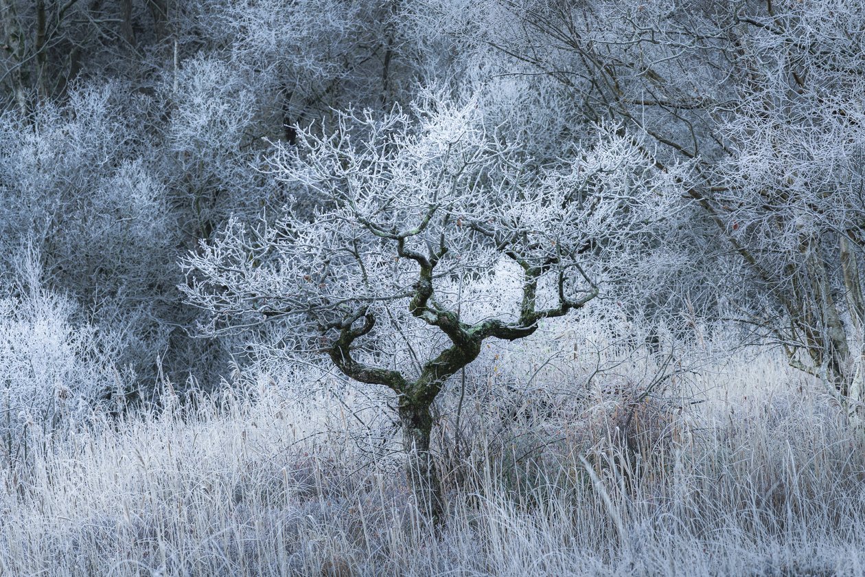  autorstwa Lee Cooper