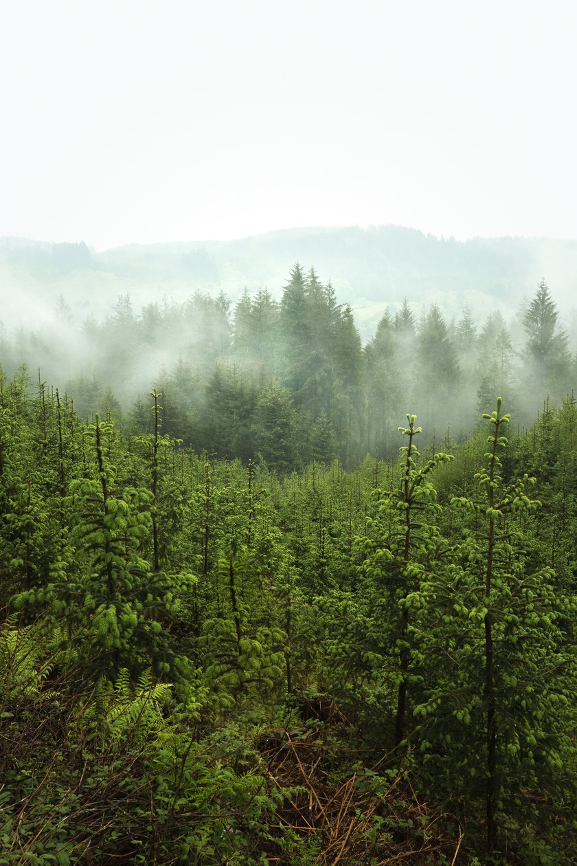  autorstwa Lee Cooper