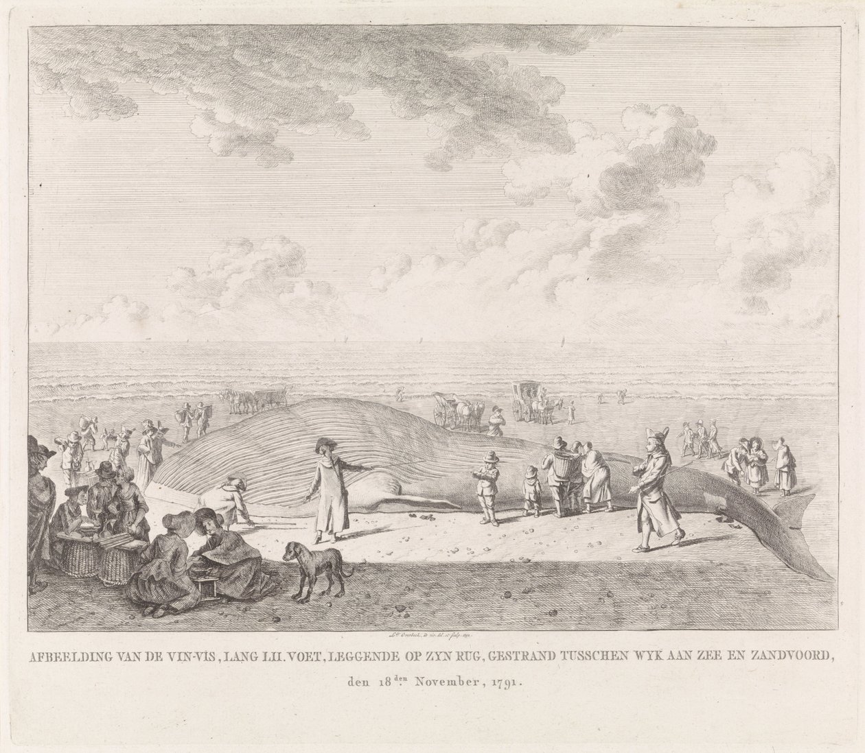 Wieloryb wyrzucony na plażę w Zandvoort Obraz Vin-Vis (...) porzucony między Wyk aan Zee i Zandvoord, 18 listopada 1791 (tytuł na obiekcie) autorstwa Leendert Overbeek