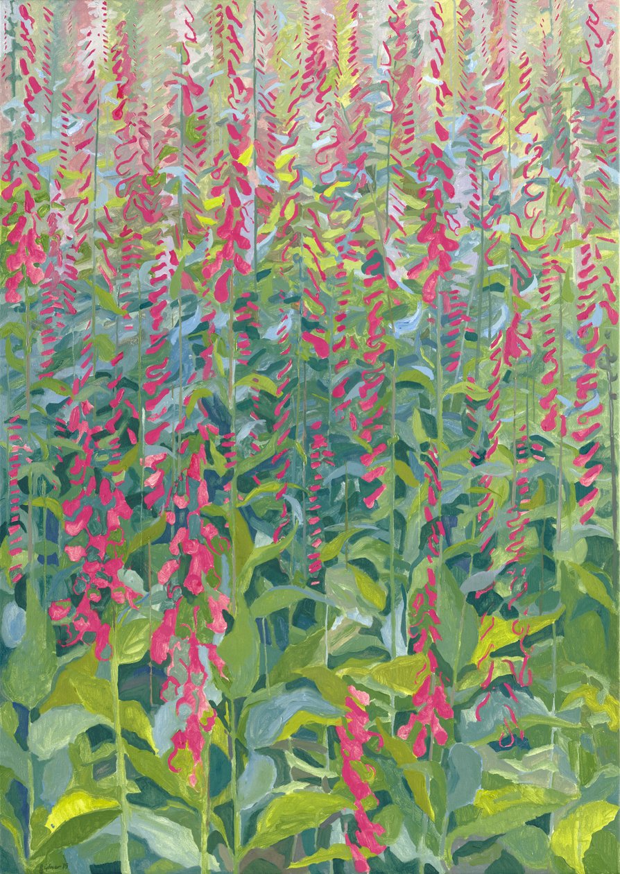 Naparstnice, 2014 autorstwa Leigh Glover