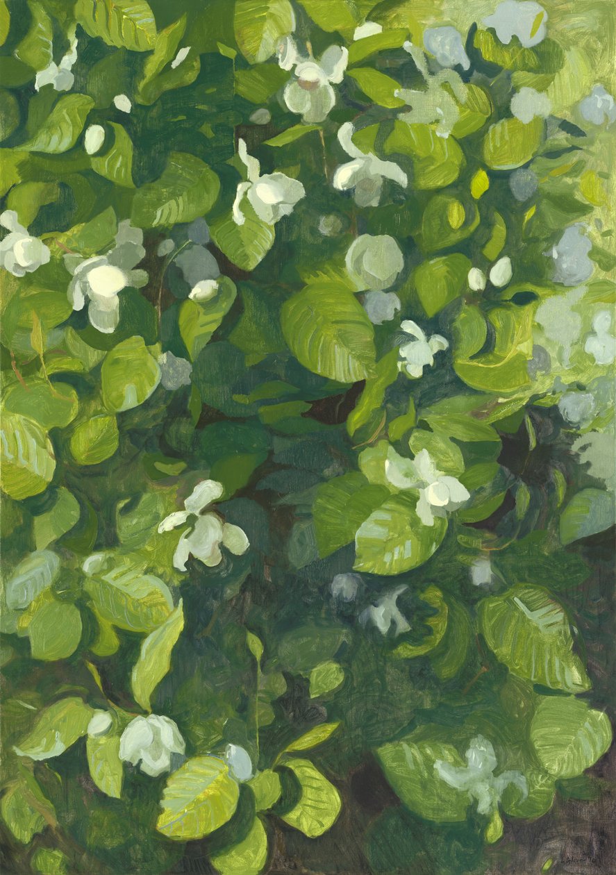 Kwitnąca magnolia, 2014 autorstwa Leigh Glover