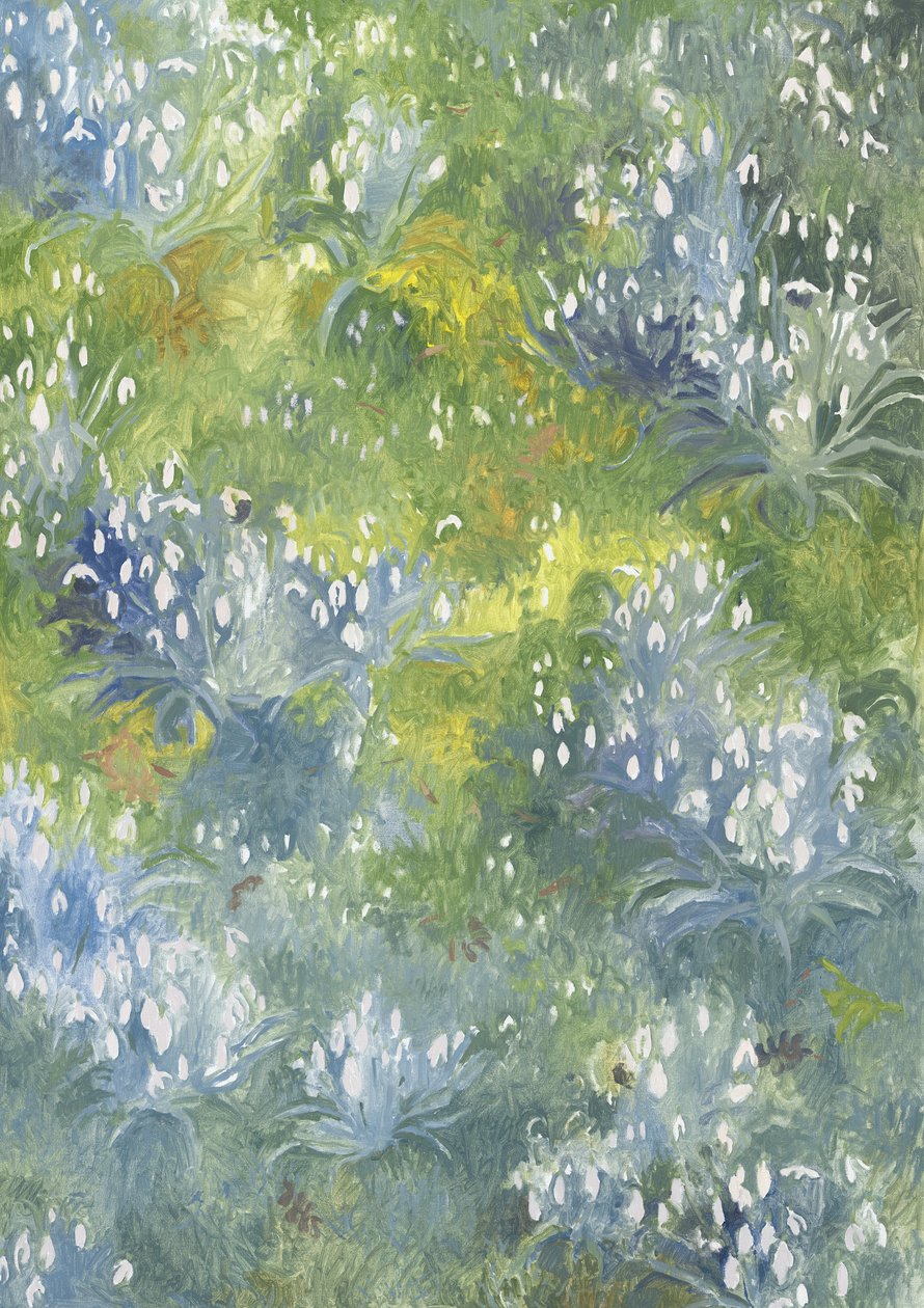 Przebiśniegi, 2014, autorstwa Leigh Glover
