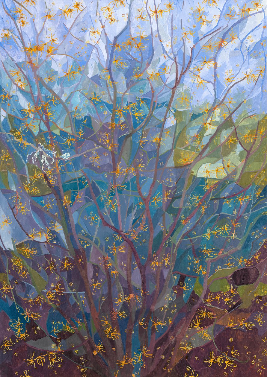 Oczar wirginijski w kwiecie, 2015 autorstwa Leigh Glover