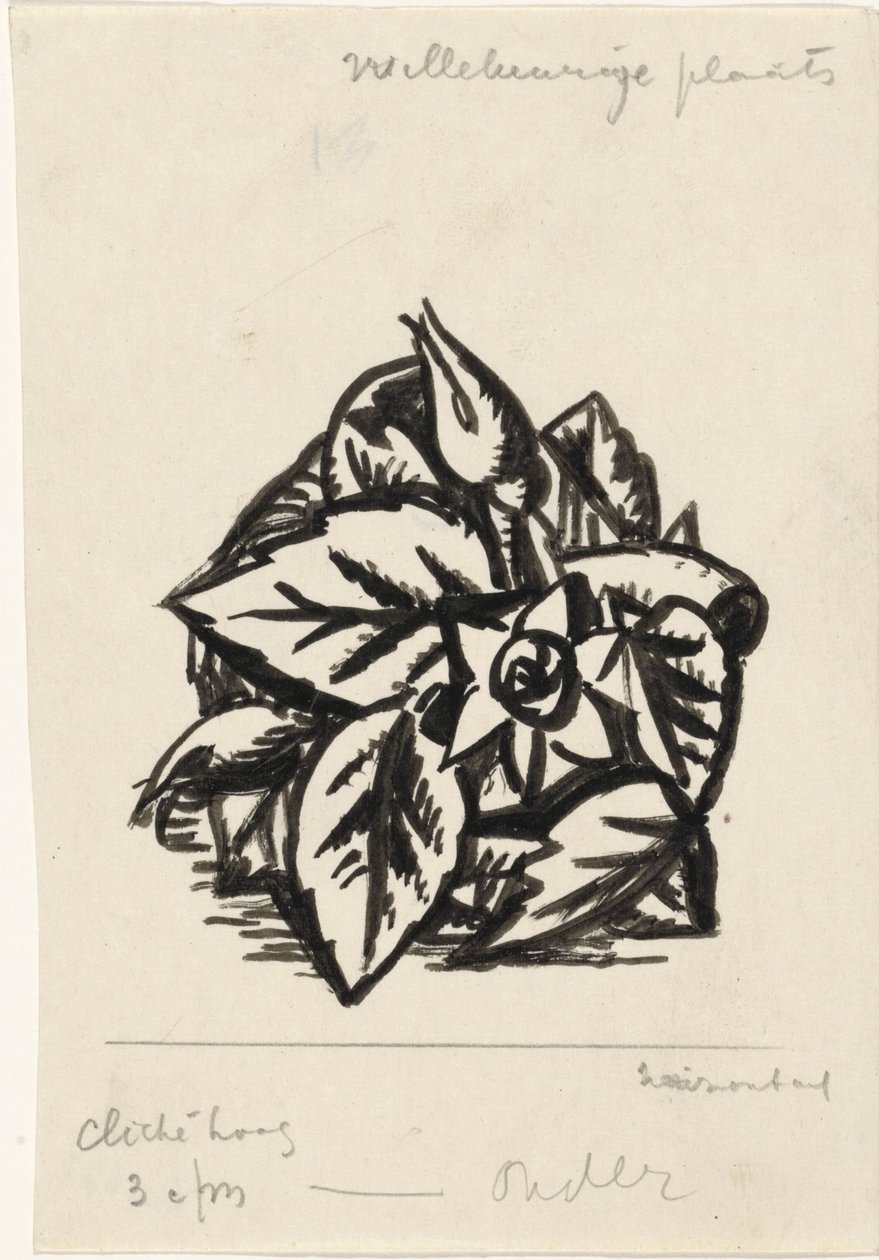 Kwiaty autorstwa Leo Gestel