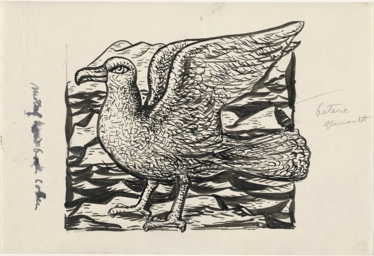 mewa autorstwa Leo Gestel