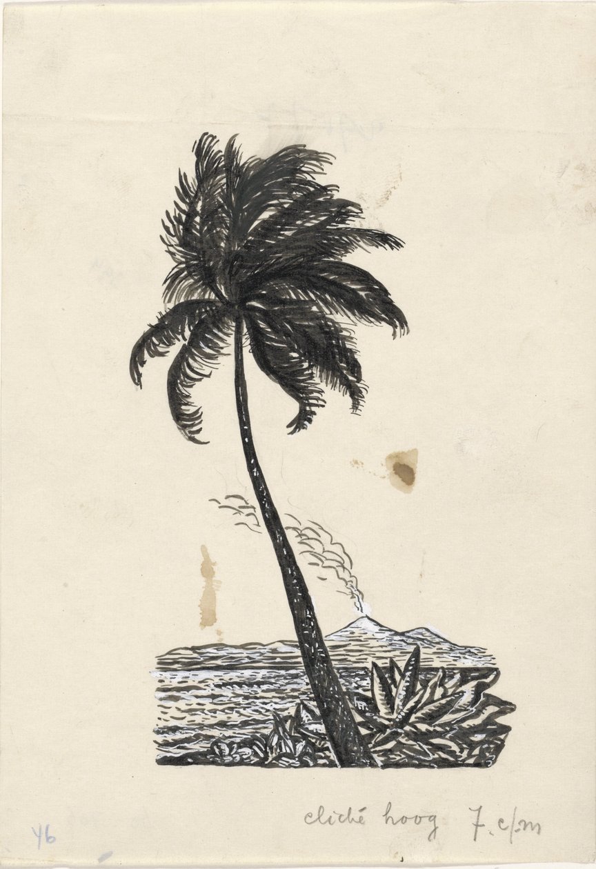 Palma z wyspą z wulkanem w tle autorstwa Leo Gestel