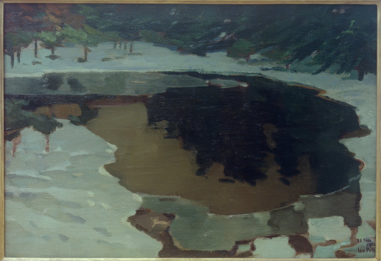 Jezioro Moorsee im Winter autorstwa Leo Putz