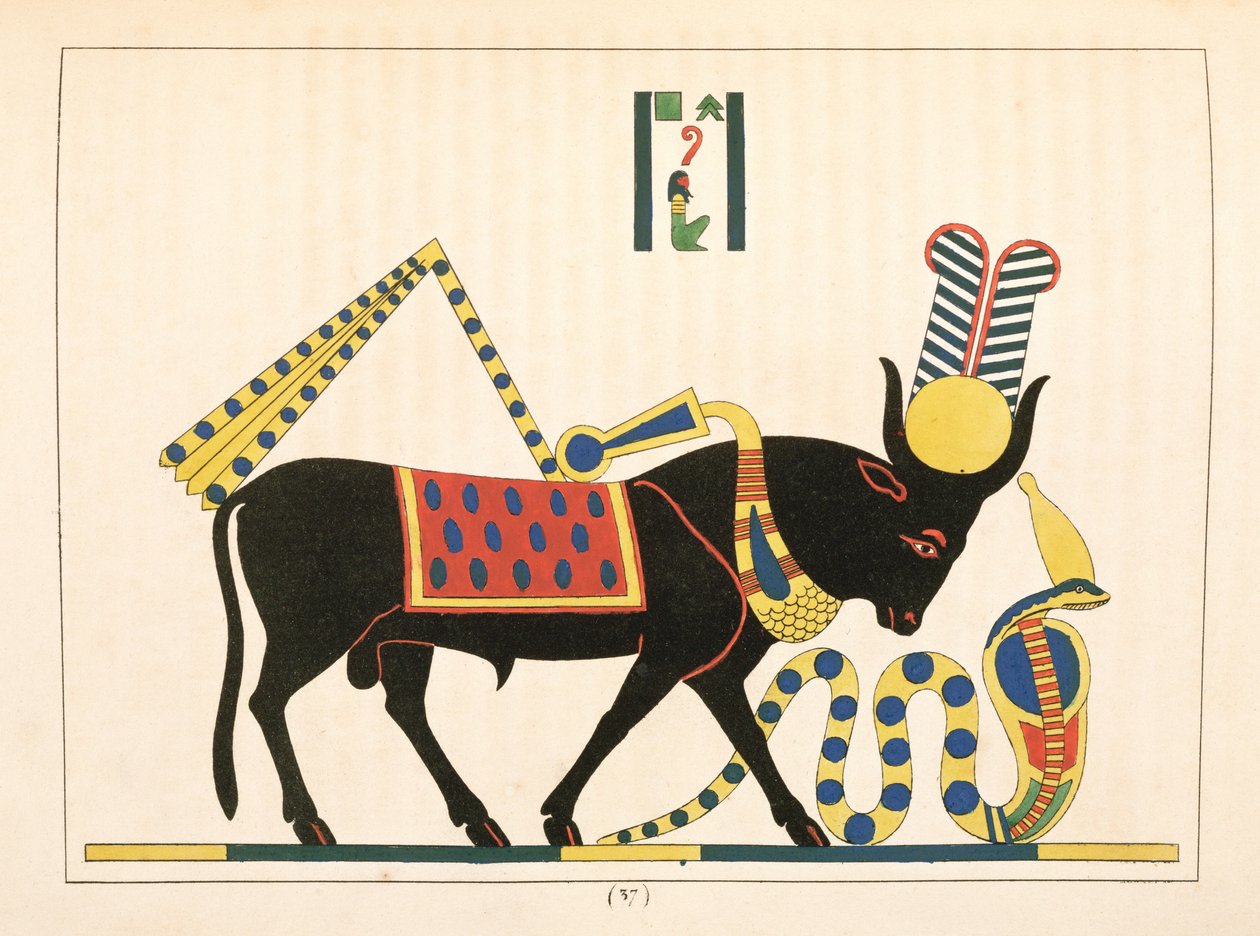 Byk Apis, ilustracja z egipskiego Panteonu: zbiór mitologicznych postaci ze starożytnego Egiptu autorstwa Jean-Francois Champollion, opublikowany w latach 1823-25 autorstwa Leon Jean Joseph Dubois