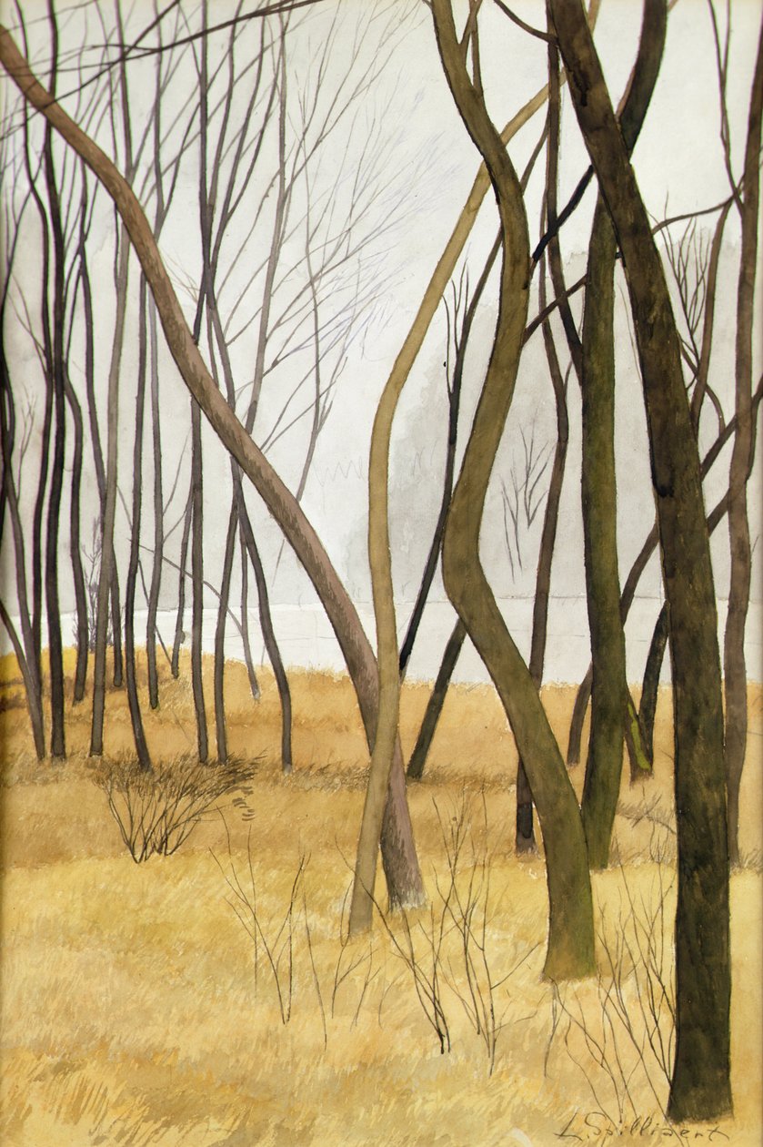 Drzewa (akwarela i ołówek na papierze) autorstwa Leon Spilliaert