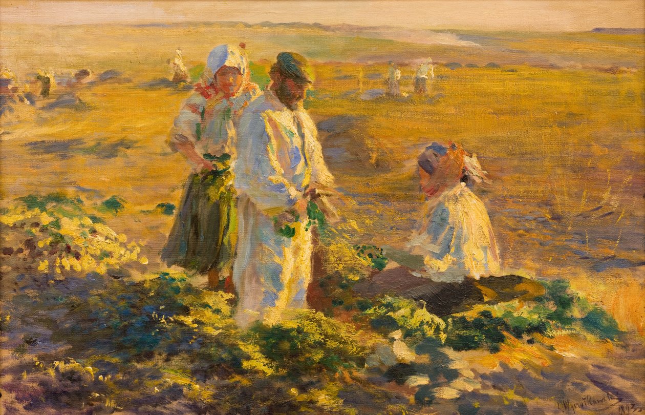Zbieranie buraków autorstwa Leon Wyczolkowski