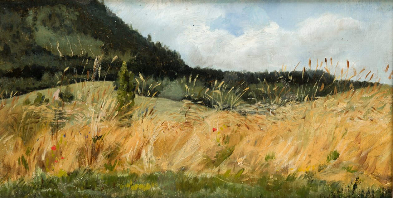 Niwa autorstwa Leon Wyczolkowski