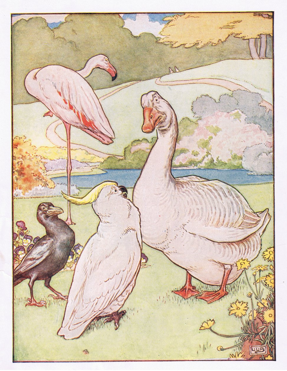 A gander jej nie rozumiał, ilustracja z "Johnny Crow