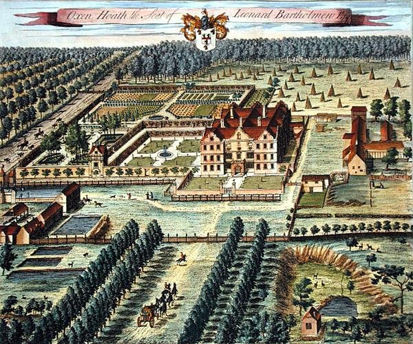 Woły wrzosowisko grawerowane przez Johannesa Kipa (ok. 1652-1722) (grafika) autorstwa Leonard (after) Knyff