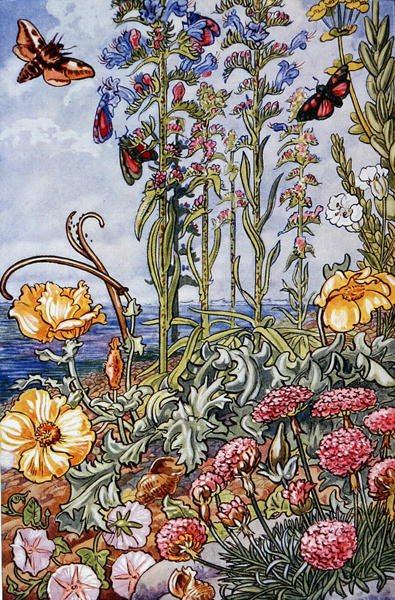 Ilustracja z filmu „Życie na wybrzeżu w Wielkiej Brytanii” wydrukowana w 1947 r. (kolor lito) autorstwa Leonard Robert Brightwell