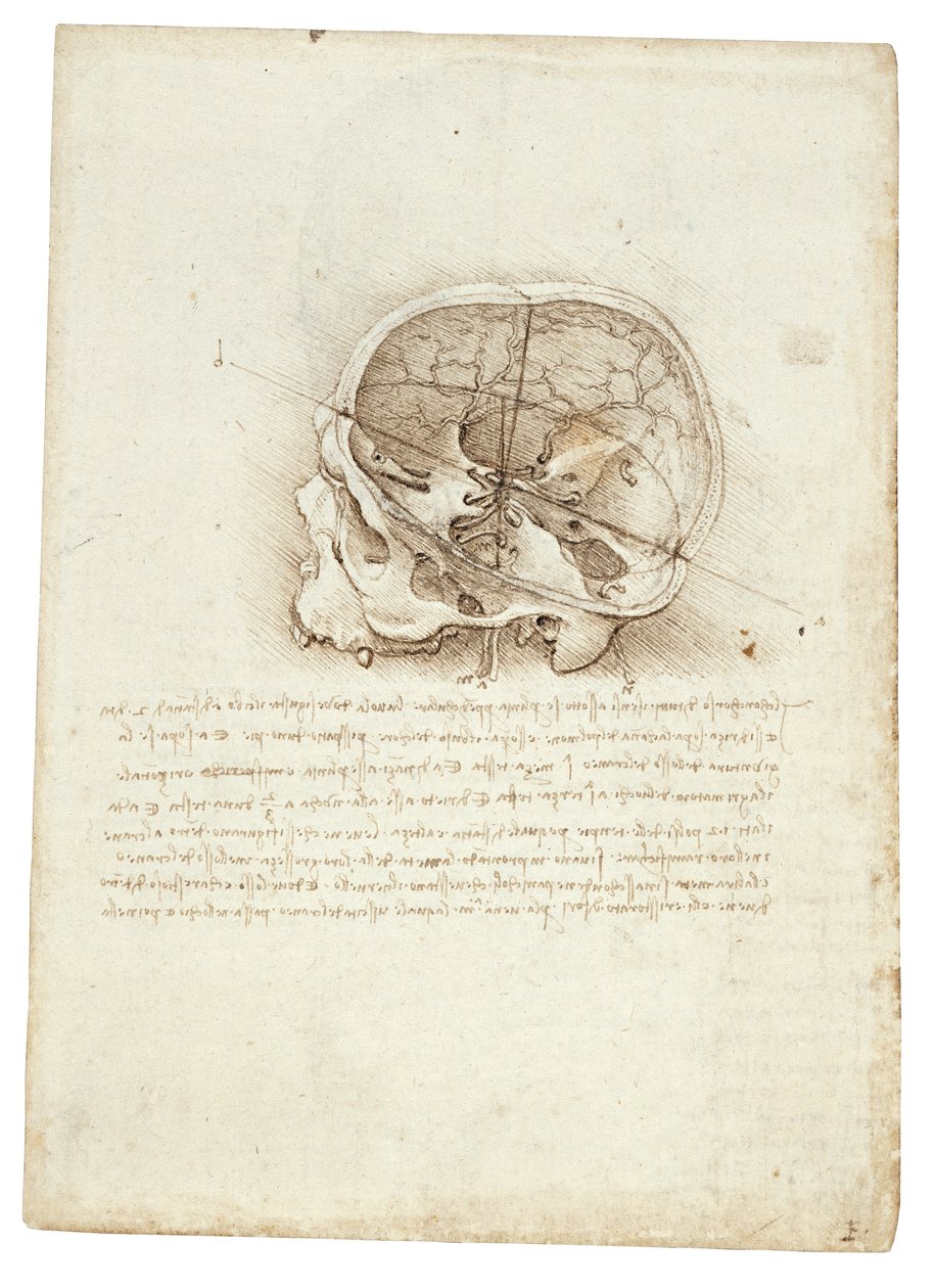 Obraz anatomiczny Leonarda Da Vinci - Scull autorstwa Leonardo da Vinci
