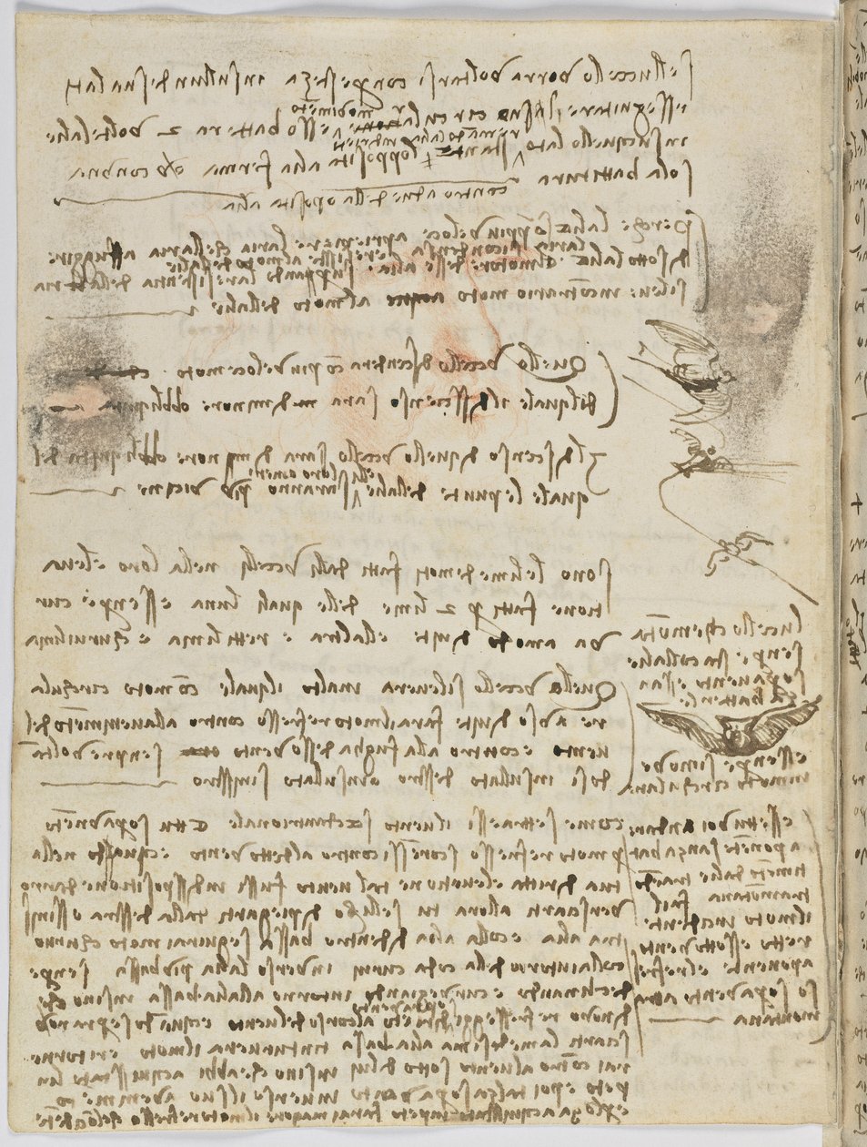 Kodeks lotu ptaków, c. 1505-06, rękopis papierowy, cc. 18, arkusz 10 wers autorstwa Leonardo da Vinci