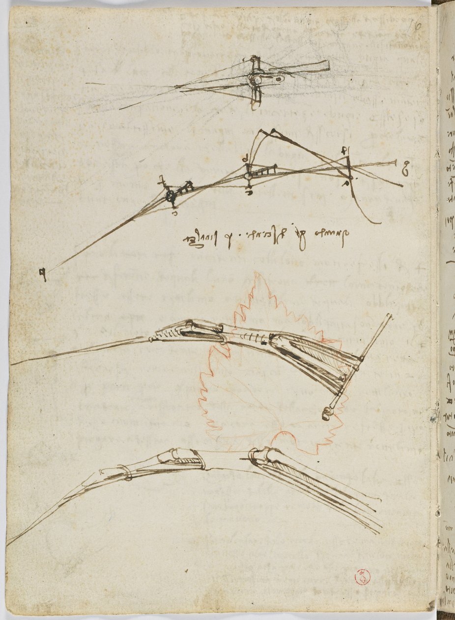 Kodeks lotu ptaków, c. 1505-06, rękopis papierowy, cc. 18, arkusz 11 odw autorstwa Leonardo da Vinci