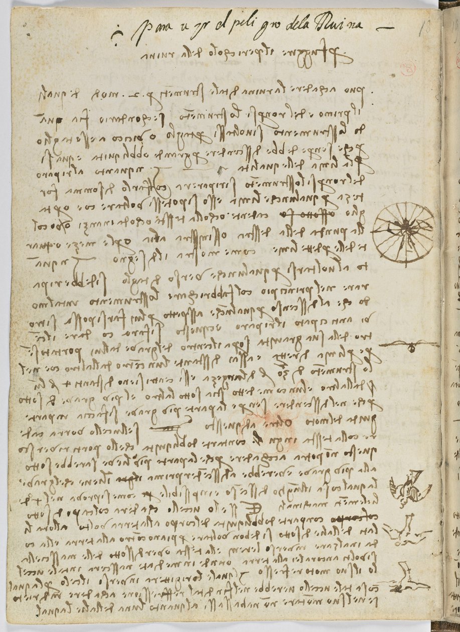د الوتونکو الوتنې کوډ، ج. 1505-06، د کاغذ نسخه، cc. 18، پاڼه 12 versopoli autorstwa Leonardo da Vinci