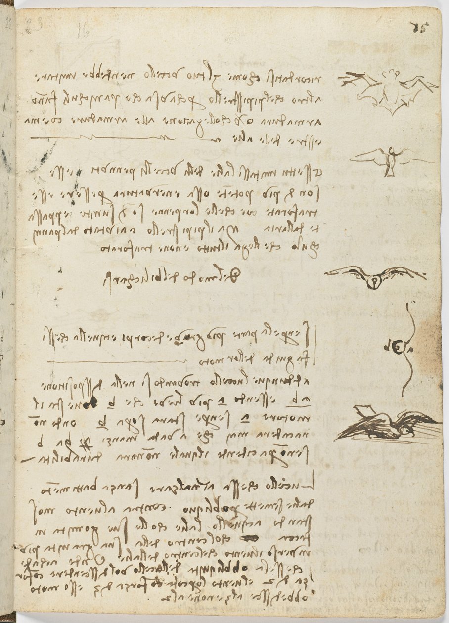 د الوتونکو الوتنې کوډ، ج. 1505-06، د کاغذ نسخه، cc. 18، پاڼه 15 rectopoli autorstwa Leonardo da Vinci