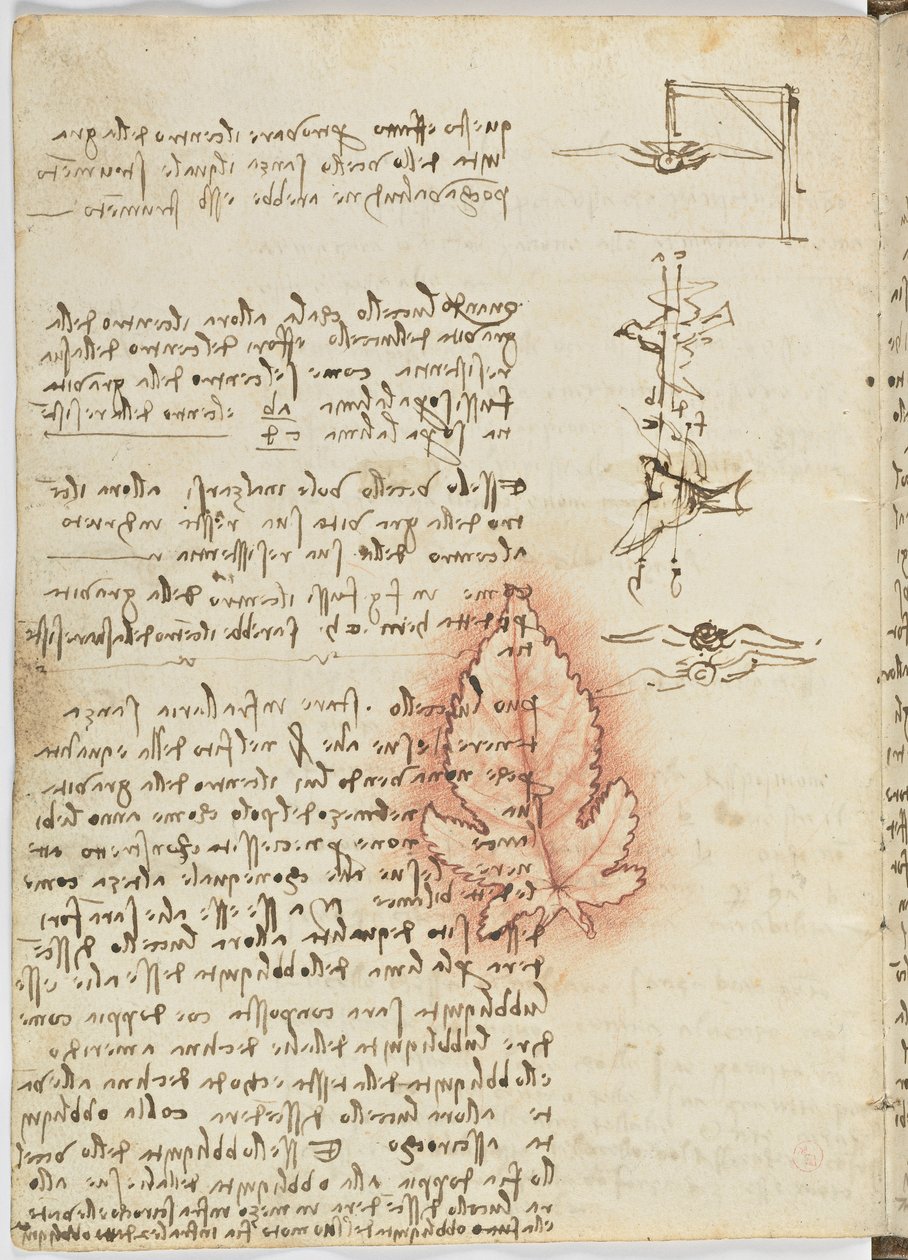 د الوتونکو الوتنې کوډ، ج. 1505-06، د کاغذ نسخه، cc. 18، پاڼه 15 versopoli autorstwa Leonardo da Vinci
