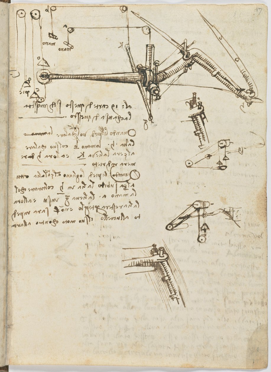 Kodeks lotu ptaków, c. 1505-06, rękopis papierowy, cc. 18, arkusz 17 prostokątny autorstwa Leonardo da Vinci