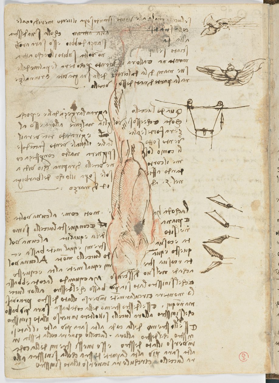 د الوتونکو الوتنې کوډ، ج. 1505-06، د کاغذ نسخه، cc. 18، پاڼه 17 versopoli autorstwa Leonardo da Vinci