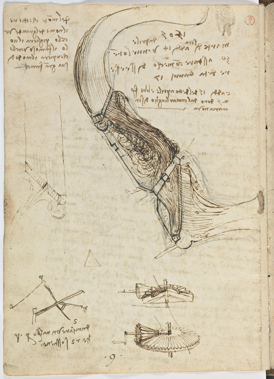 د الوتونکو الوتنې کوډ، ج. 1505-06، د کاغذ نسخه، cc. 18، پاڼه 18 versopoli autorstwa Leonardo da Vinci
