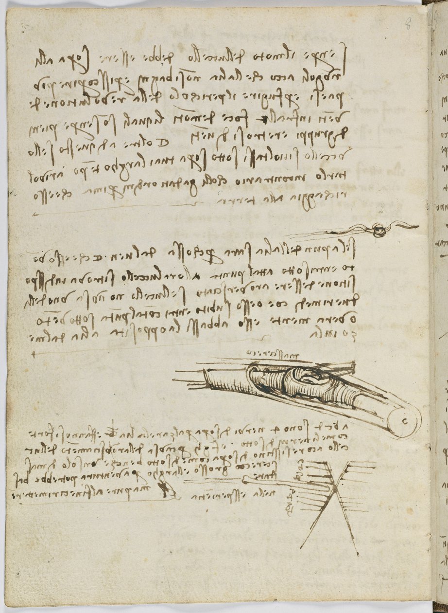 Kodeks lotu ptaków, c. 1505-06, rękopis papierowy, cc. 18, arkusz 6 odw autorstwa Leonardo da Vinci
