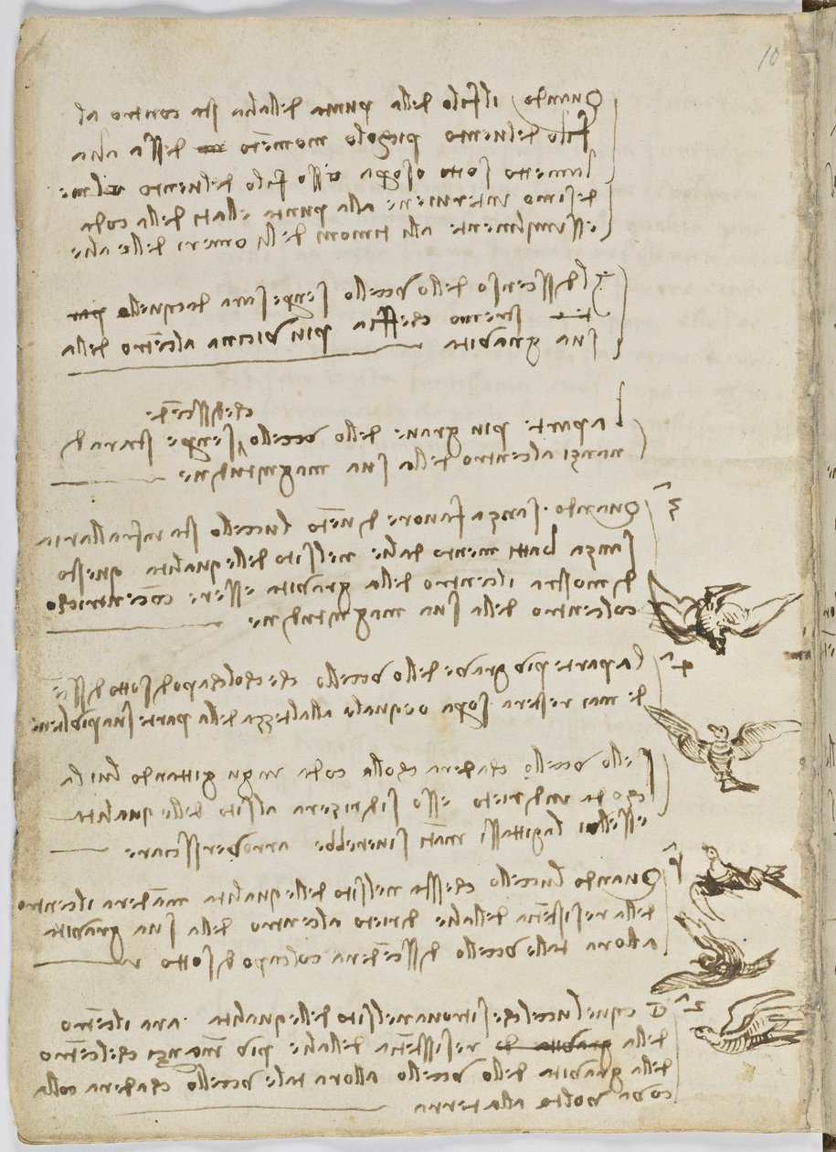 Kodeks lotu ptaków, c. 1505-06, rękopis papierowy, cc. 18, arkusz 7 odw autorstwa Leonardo da Vinci