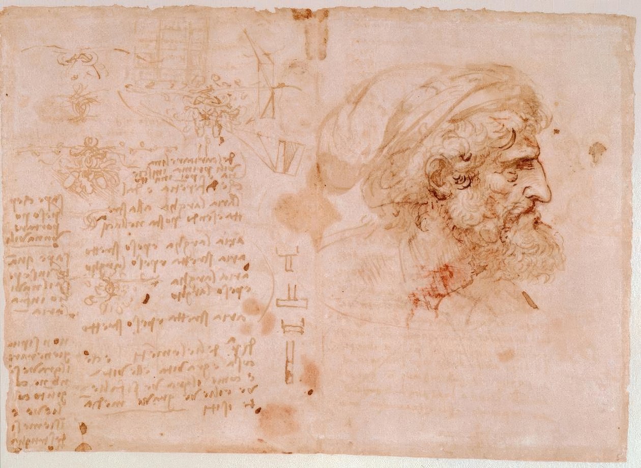 Studia ornamentów liściowych / portret profilowy starca... autorstwa Leonardo da Vinci