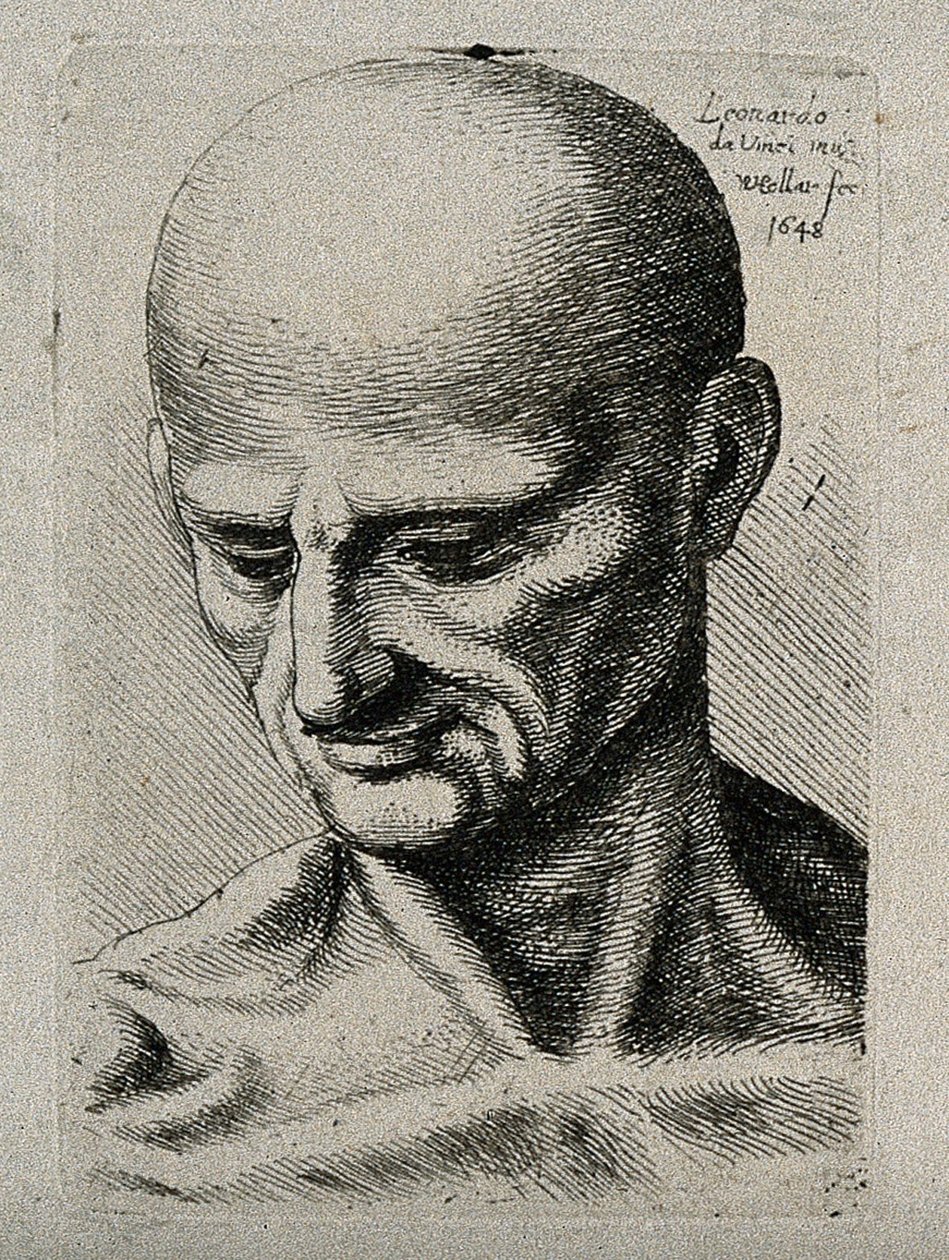 Popiersie szczupłego mężczyzny, spoglądającego w dół po prawej stronie autorstwa Leonardo da Vinci