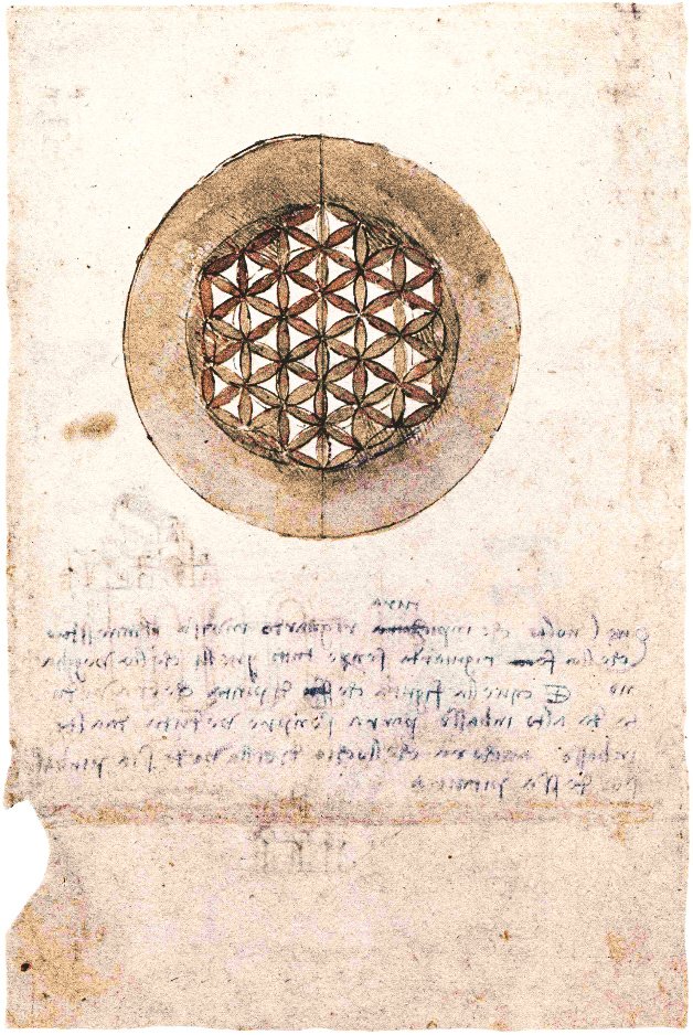 Kodeks Atlanticus folio 309v autorstwa Leonardo da Vinci