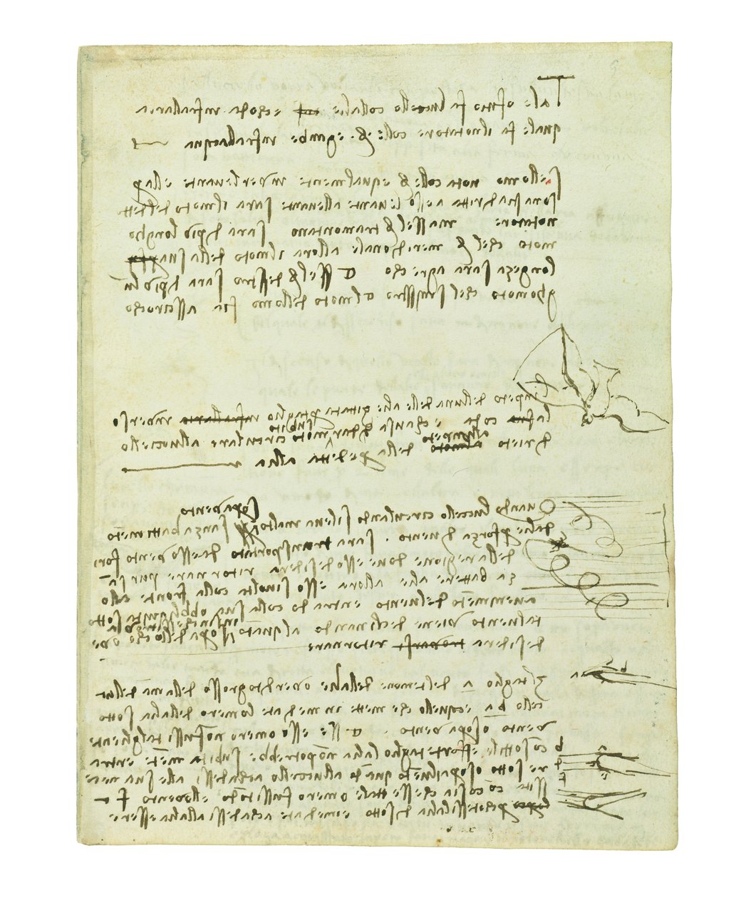 Kodeks lotu ptaków, Folio 10 recto autorstwa Leonardo da Vinci