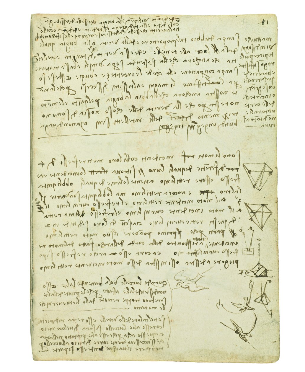 Kodeks lotu ptaków, Folio 11 recto autorstwa Leonardo da Vinci