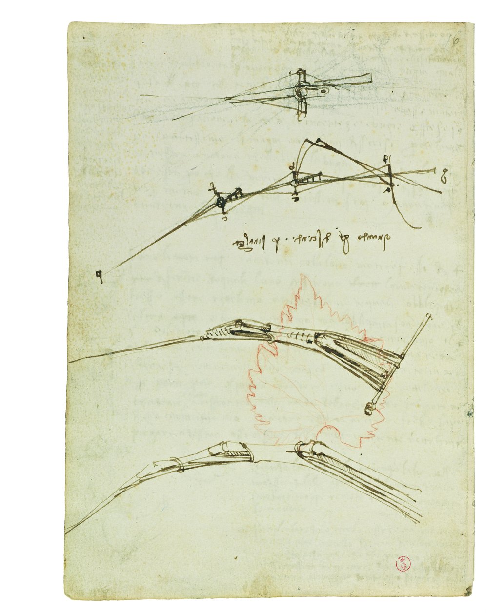 Kodeks lotu ptaków, Folio 11 verso autorstwa Leonardo da Vinci