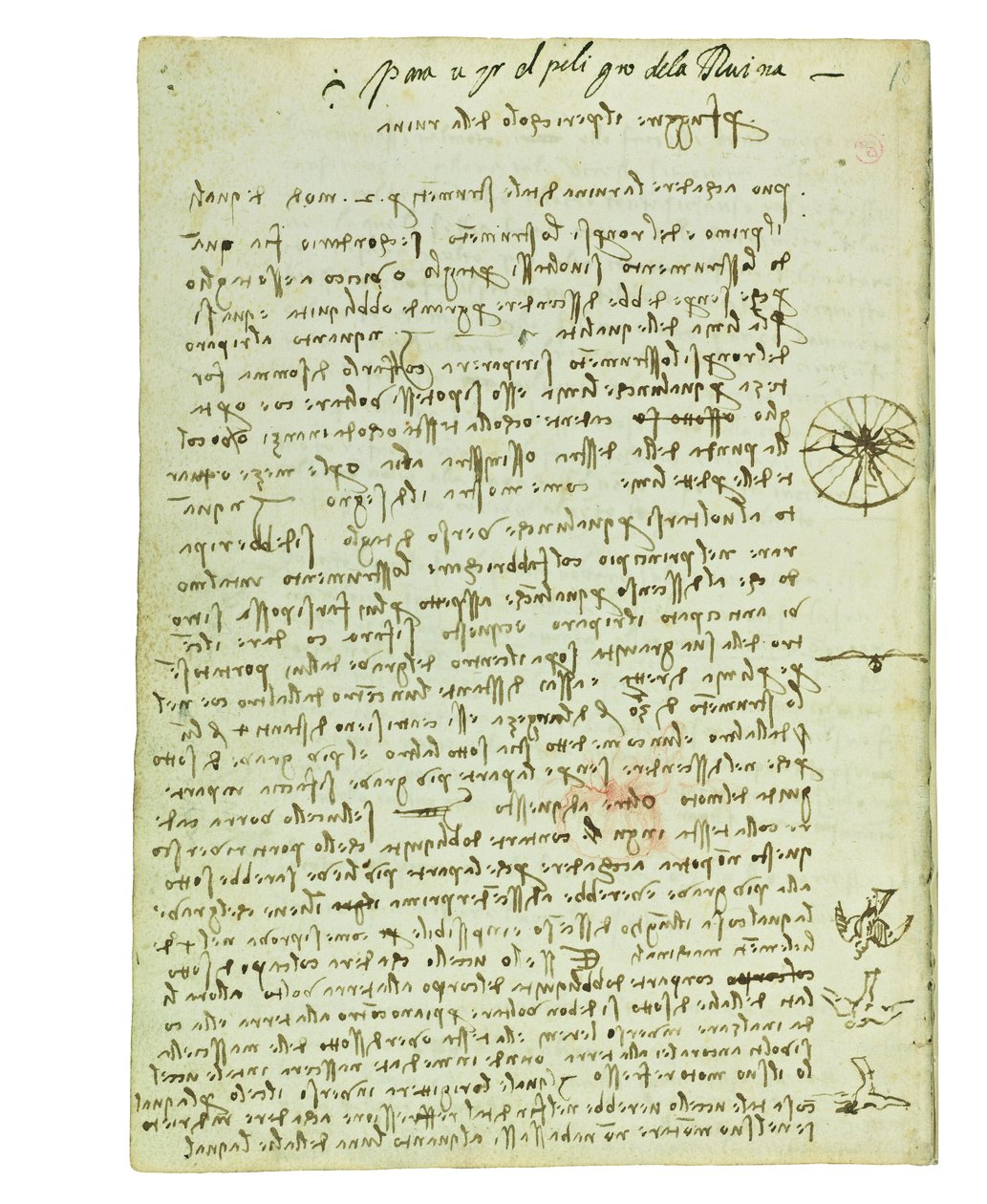 Kodeks lotu ptaków, Folio 12 verso autorstwa Leonardo da Vinci