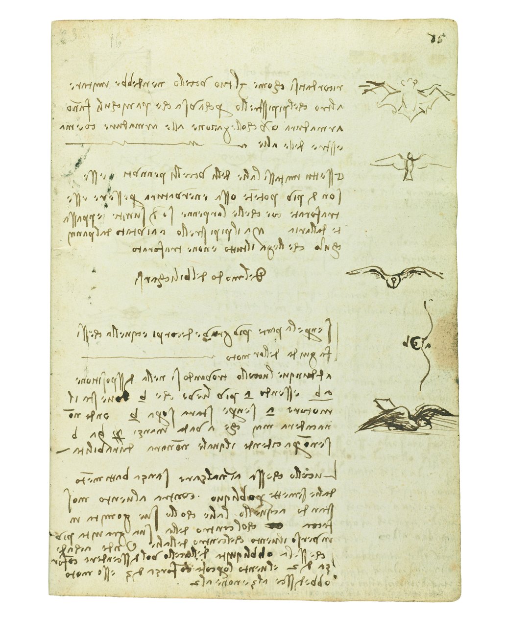 Kodeks lotu ptaków, Folio 15 recto autorstwa Leonardo da Vinci