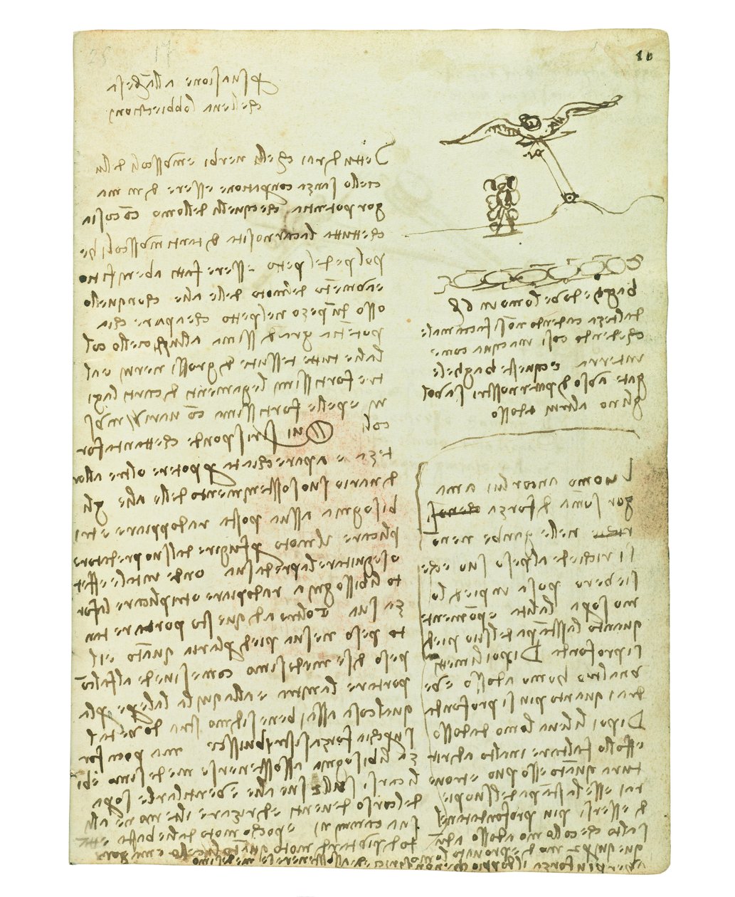 Kodeks lotu ptaków, Folio 16 recto autorstwa Leonardo da Vinci