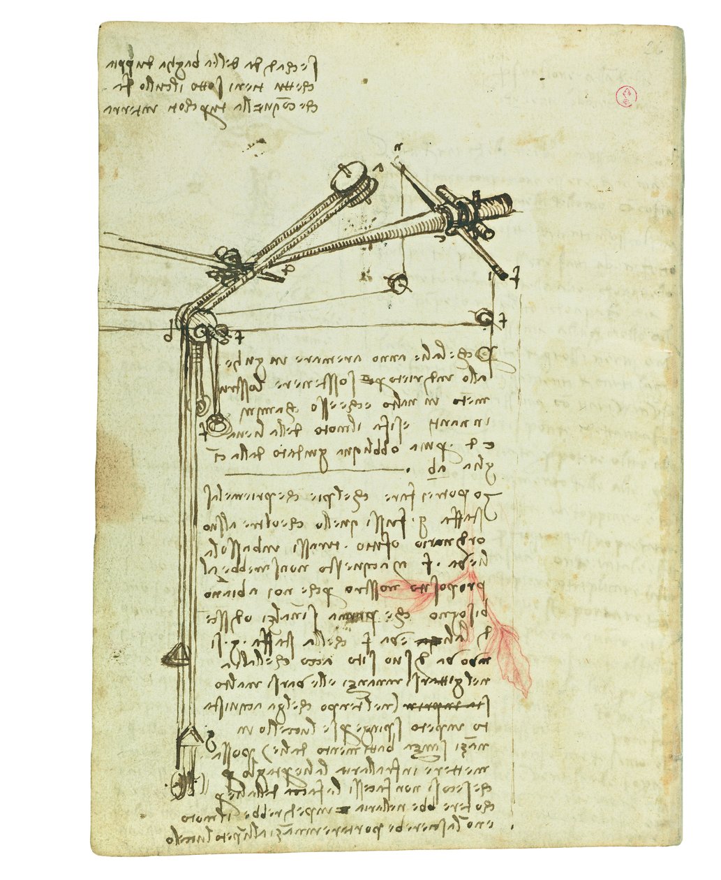 Kodeks lotu ptaków, Folio 16 verso autorstwa Leonardo da Vinci