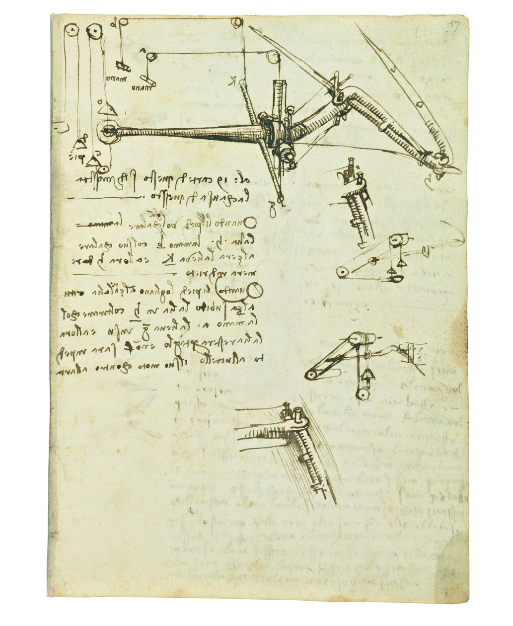 Kodeks lotu ptaków, Folio 17 recto autorstwa Leonardo da Vinci