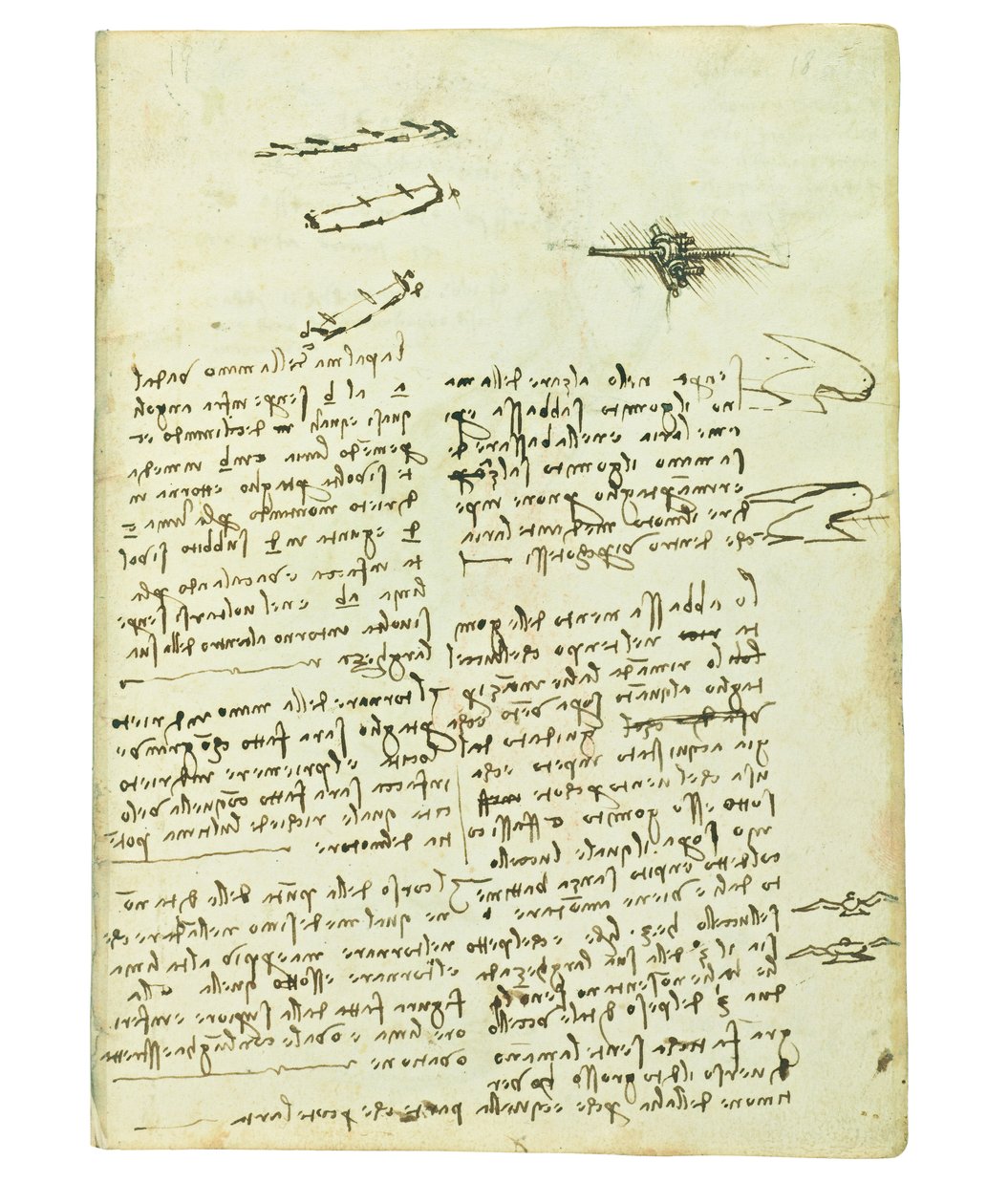 Kodeks lotu ptaków, Folio 18 recto autorstwa Leonardo da Vinci