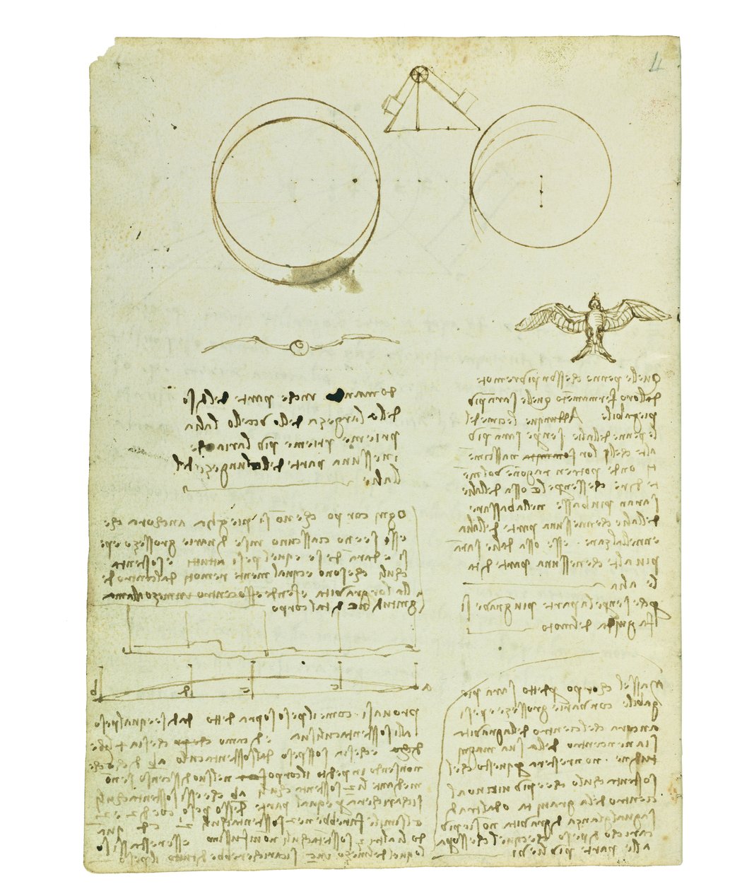 Kodeks lotu ptaków, Folio 4 verso autorstwa Leonardo da Vinci