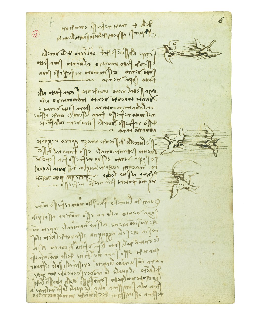 Kodeks lotu ptaków, Folio 6 recto autorstwa Leonardo da Vinci