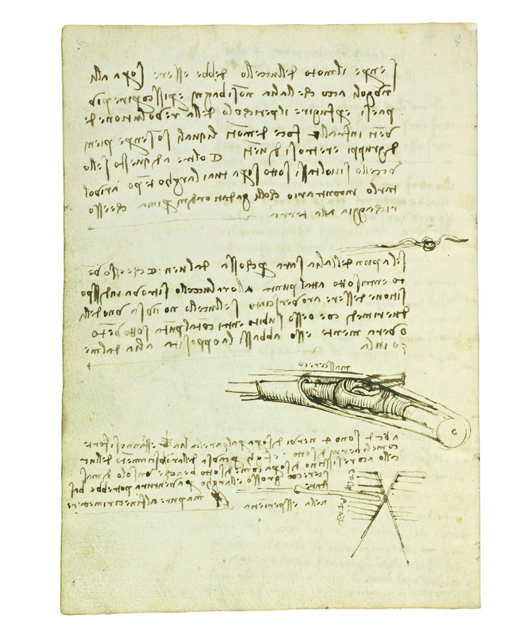 Kodeks lotu ptaków, Folio 6 verso autorstwa Leonardo da Vinci