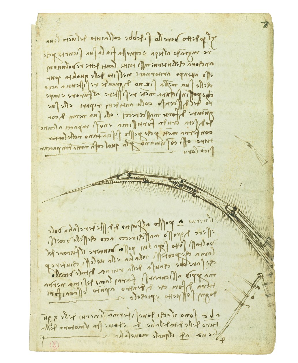 Kodeks lotu ptaków, Folio 7 recto autorstwa Leonardo da Vinci