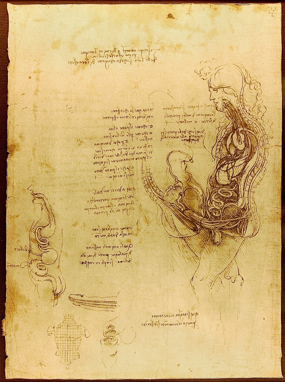 Związek mężczyzny i kobiety, który podzielił się na pół Luc Viatour autorstwa Leonardo da Vinci