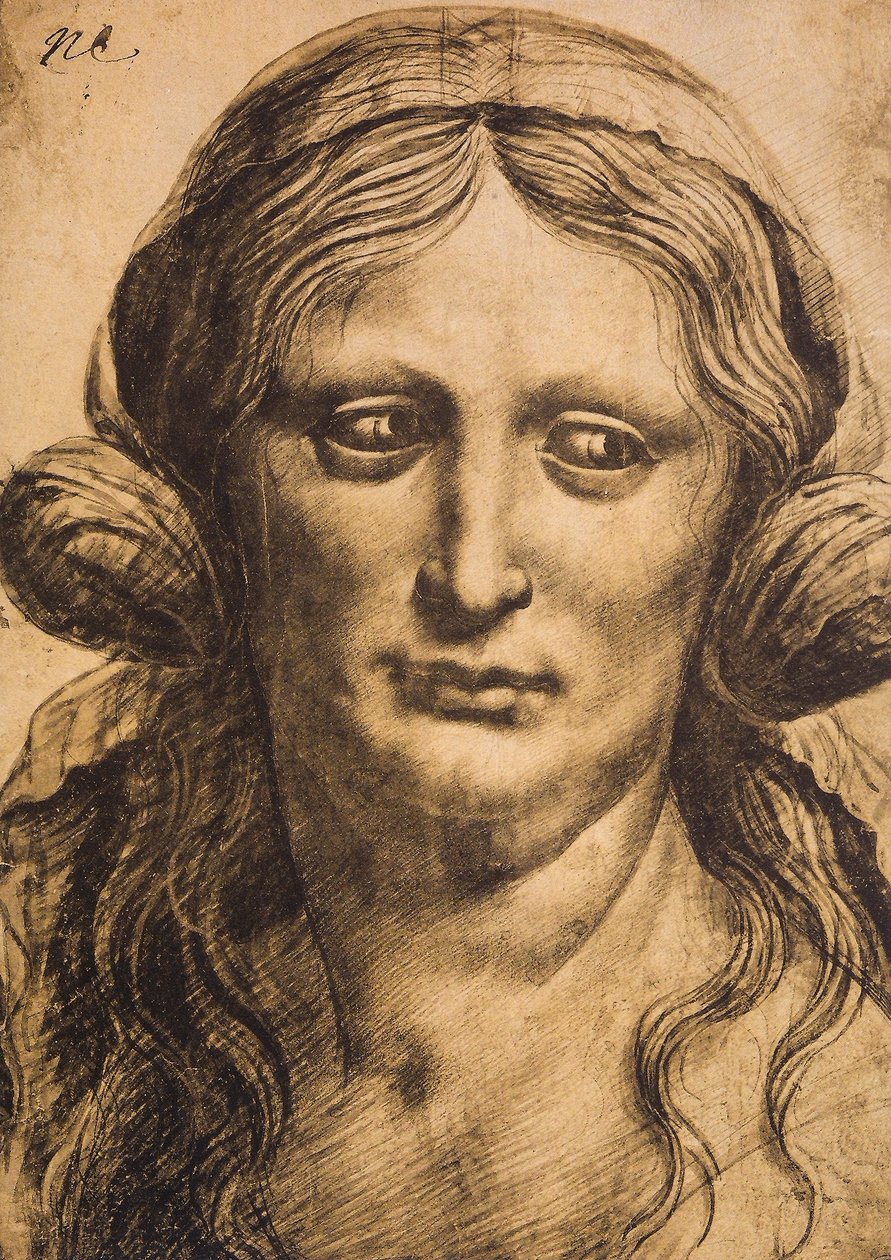 Portret kobiety; rysunek Leonarda da Vinci. Luwr, Paryż autorstwa Leonardo da Vinci
