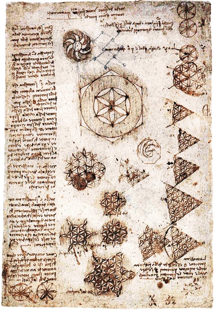 Kwiat życia autorstwa Leonardo da Vinci
