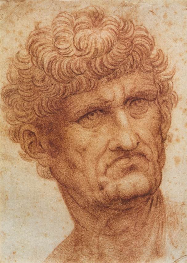 Głowa mężczyzny autorstwa Leonardo da Vinci