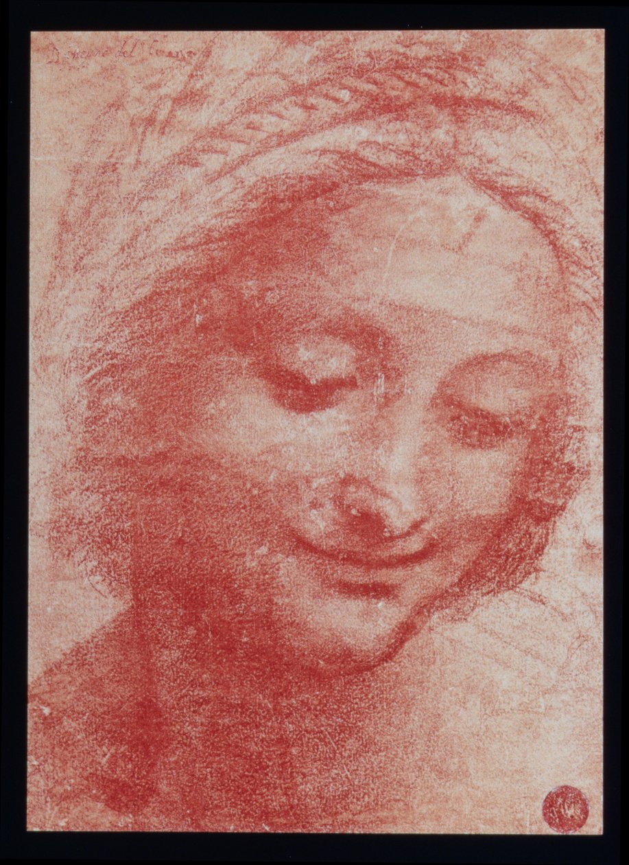 Głowa kobiety (węgiel na papierze) autorstwa Leonardo da Vinci